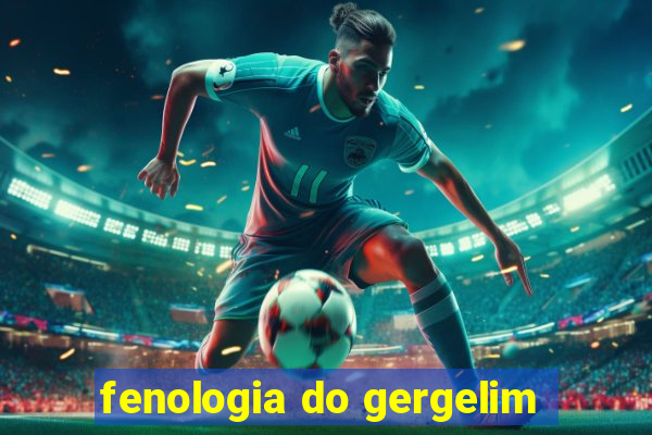 fenologia do gergelim